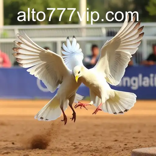 Gaming Experience Alto777 - 800+ Premium and Exclusive Games